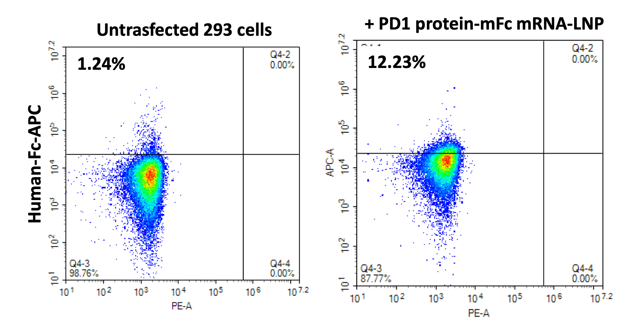 Figure 1. FACS shows expression of PD1 protein-mFc after transfection of HEK293 cells with collected supernatant 16 hours after transfection.