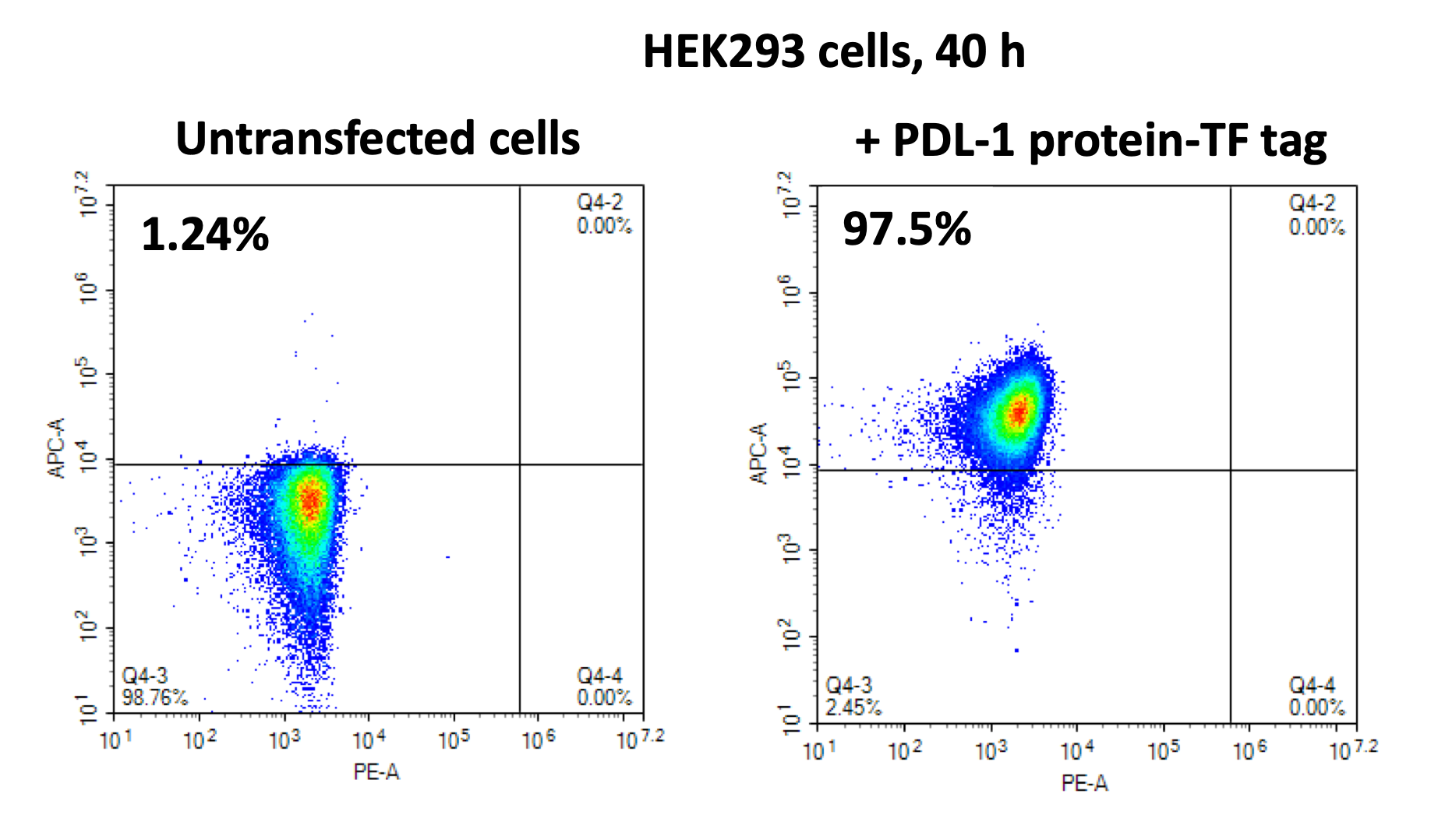 Figure 1. FACS with anti-TF primary antibody shows expression of PDL-1-TF in HEK293 cells 40 hours after transfection.