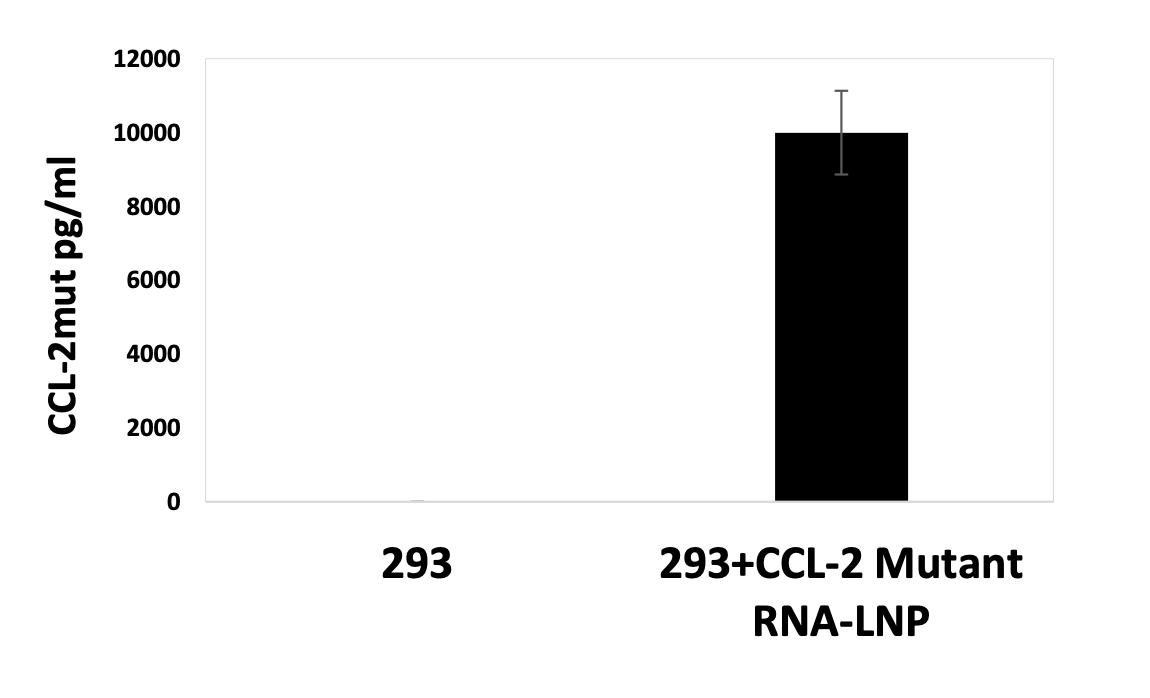 Figure 1. ELISA using supernatants of HEK293 cells transfected with CCL-2 Mutant RNA-LNP showed secreted mutant CCL-2 cytokine 16 hours after transfection.