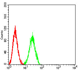 Figure 4:Flow cytometric analysis of HL-60 cells using CCR10 mouse mAb (green) and negative control (red).