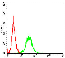 Figure 4:Flow cytometric analysis of Jurkat cells using CD4 mouse mAb (green) and negative control (red).