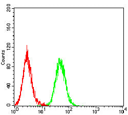 Figure 5:Flow cytometric analysis of HepG2 cells using HIF2a mouse mAb (green) and negative control (red).