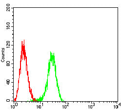 Figure 4:Flow cytometric analysis of BEL-7402 cells using BRAF mouse mAb (green) and negative control (red).