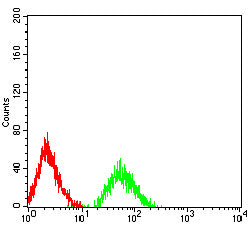 Figure 4:Flow cytometric analysis of Hela cells using NGFR mouse mAb (green) and negative control (red).