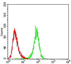 Figure 4:Flow cytometric analysis of Jurkat cells using GZMK mouse mAb (green) and negative control (red).