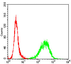 Figure 6:Flow cytometric analysis of K562 cells using CD126 mouse mAb (green) and negative control (red).