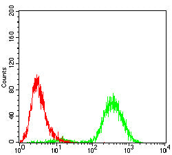 Figure 7:Flow cytometric analysis of HepG2 cells using USP7 mouse mAb (green) and negative control (red).