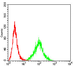 Figure 4:Flow cytometric analysis of HL-60 cells using CCR10 mouse mAb (green) and negative control (red).