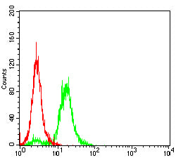 Figure 4:Flow cytometric analysis of JURKAT cells using TRBC1 mouse mAb (green) and negative control (red).