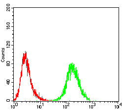 Figure 7:Flow cytometric analysis of HepG2 cells using USP7 mouse mAb (green) and negative control (red).