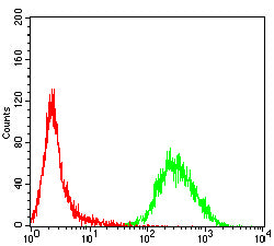 Figure 4:Flow cytometric analysis of MOLT4 cells using IL1B mouse mAb (green) and negative control (red).