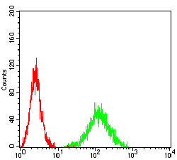 Figure 6:Flow cytometric analysis of A431 cells using CCL27 mouse mAb (green) and negative control (red).