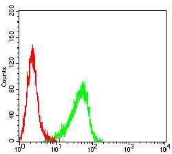 Figure 3:Flow cytometric analysis of Hela cells using RABEP2 mouse mAb (green) and negative control (red).