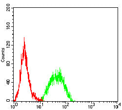 Figure 4:Flow cytometric analysis of U937 cells using TSPAN33 mouse mAb (green) and negative control (red).