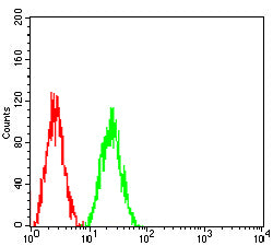 Figure 5:Flow cytometric analysis of HL-60 cells using ITGB7 mouse mAb (green) and negative control (red).
