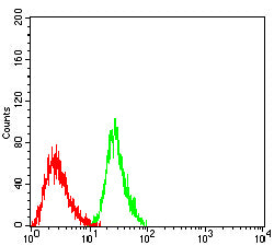 Figure 5:Flow cytometric analysis of MOLT4 cells using VASP mouse mAb (green) and negative control (red).