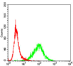 Figure 8:Flow cytometric analysis of Jurlat cells using USP7 mouse mAb (green) and negative control (red).