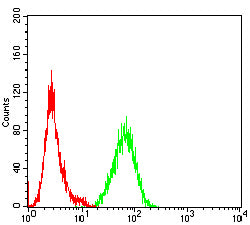 Figure 3:Flow cytometric analysis of Jurkat cells using Siglec15 mouse mAb (green) and negative control (red).
