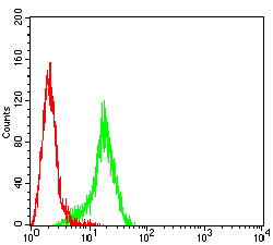 Figure 5:Flow cytometric analysis of Raji cells using HDAC1 mouse mAb (green) and negative control (red).