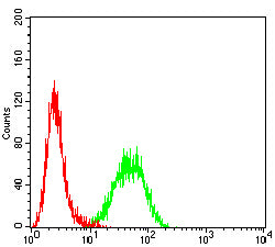 Figure 6:Flow cytometric analysis of THP-1 cells using CD10 mouse mAb (green) and negative control (red).