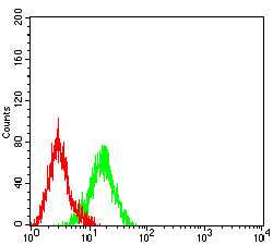 Figure 7:Flow cytometric analysis of Jurkat cells using ATP5F1A mouse mAb (green) and negative control (red).