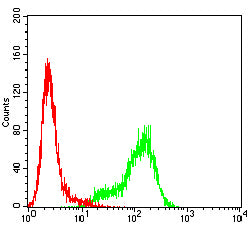 Figure 4:Flow cytometric analysis of THP-1 cells using CD244 mouse mAb (green) and negative control (red).