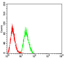 Figure 5:Flow cytometric analysis of THP-1 cells using VASP mouse mAb (green) and negative control (red).