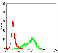 Figure 7:Flow cytometric analysis of K562 cells using NDC80 mouse mAb (green) and negative control (red).