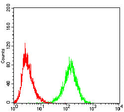 Figure 4:Flow cytometric analysis of K562 cells using CD300F mouse mAb (green) and negative control (red).