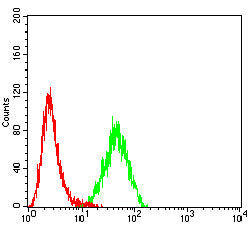 Figure 5:Flow cytometric analysis of K562 cells using CD42A mouse mAb (green) and negative control (red).