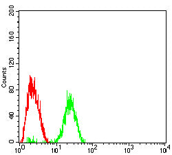 Figure 6:Flow cytometric analysis of HepG2 cells using BRAF mouse mAb (green) and negative control (red).