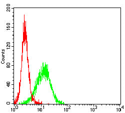 Figure 4:Flow cytometric analysis of Jurkat cells using CEACAM6 mouse mAb (green) and negative control (red).