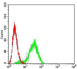 Figure 4:Flow cytometric analysis of THP-1 cells using BCL2 mouse mAb (green) and negative control (red).