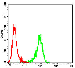 Figure 5:Flow cytometric analysis of Jurkat cells using CD109 mouse mAb (green) and negative control (red).
