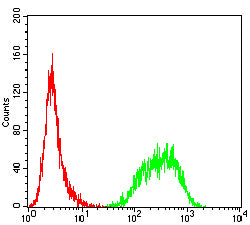 Figure 4:Flow cytometric analysis of Jurkat cells using CLEC2 mouse mAb (green) and negative control (red).