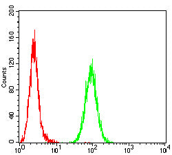 Figure 4:Flow cytometric analysis of Hela cells using PODXL mouse mAb (green) and negative control (red).