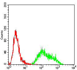 Figure 6:Flow cytometric analysis of THP-1 cells using VCP mouse mAb (green) and negative control (red).