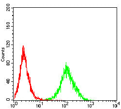 Figure 5:Flow cytometric analysis of THP-1 cells using CX3CR1 mouse mAb (green) and negative control (red).