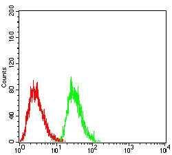 Figure 5:Flow cytometric analysis of HepG2 cells using MSH2 mouse mAb (green) and negative control (red).