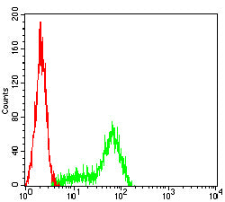 Figure 6:Flow cytometric analysis of Hela cells using KRT2 mouse mAb (green) and negative control (red).