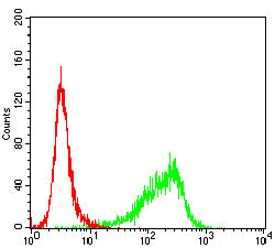 Figure 8:Flow cytometric analysis of K562 cells using NEDD9 mouse mAb (green) and negative control (red).