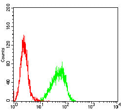 Figure 5:Flow cytometric analysis of THP-1 cells using GPR56 mouse mAb (green) and negative control (red).