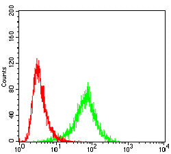 Figure 4:Flow cytometric analysis of K562 cells using KLK2 mouse mAb (green) and negative control (red).