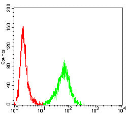 Figure 5:Flow cytometric analysis of Jurkat cells using CD34 mouse mAb (green) and negative control (red).