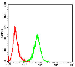 Figure 5:Flow cytometric analysis of Jurkat cells using HSP70 mouse mAb (green) and negative control (red).