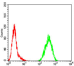 Figure 5: Flow cytometric analysis of Hela cells using CDKN2A mouse mAb (green) and negative control (red).