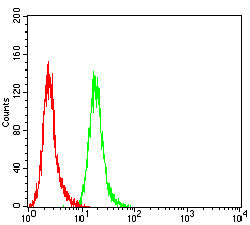 Figure 5: Flow cytometric analysis of Hela cells using SOX11 mouse mAb (green) and negative control (red).