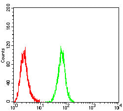 Figure 4: Flow cytometric analysis of Hela cells using MUC5AC mouse mAb (green) and negative control (red).