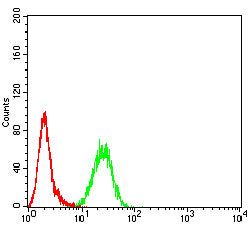 Figure 4: Flow cytometric analysis of THP-1 cells using CD10 mouse mAb (green) and negative control (red).