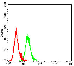 Figure 4: Flow cytometric analysis of Hela cells using PAX2 mouse mAb (green) and negative control (red).